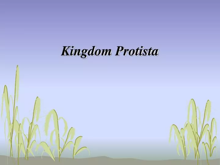 kingdom protista