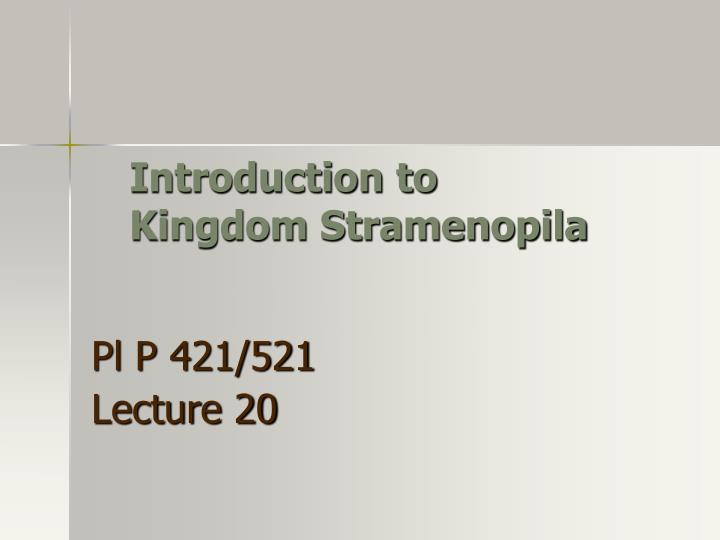 introduction to kingdom stramenopila