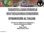 TALLER SUBREGIONAL - slide 1