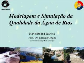 Modelagem e Simulação da Qualidade da Água de Rios
