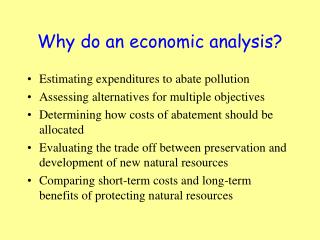 Why do an economic analysis?