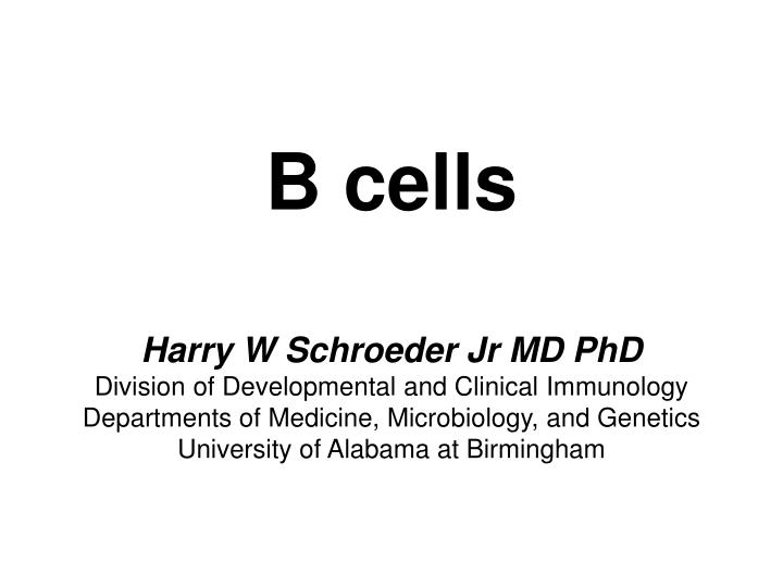 b cells