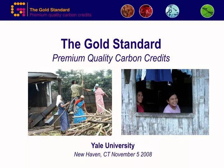 the gold standard premium quality carbon credits