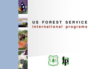 US FOREST SERVICE international programs