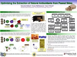 Optimizing the Extraction of Natural Antioxidants from Peanut Skins