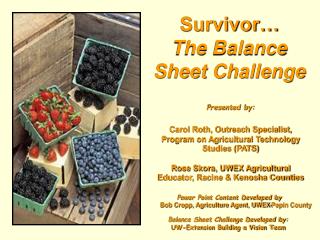 Survivor… The Balance Sheet Challenge