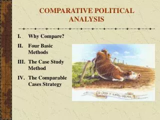 Why Compare? Four Basic Methods The Case Study Method The Comparable Cases Strategy