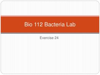 Bio 112 Bacteria Lab