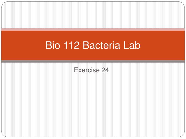 bio 112 bacteria lab