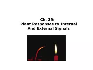 Ch. 39: Plant Responses to Internal And External Signals