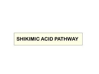 SHIKIMIC ACID PATHWAY