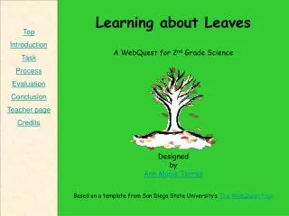 Learning about Leaves A WebQuest for 2 nd Grade Science Designed by Ann Marie Torres Based on a template from San Diego