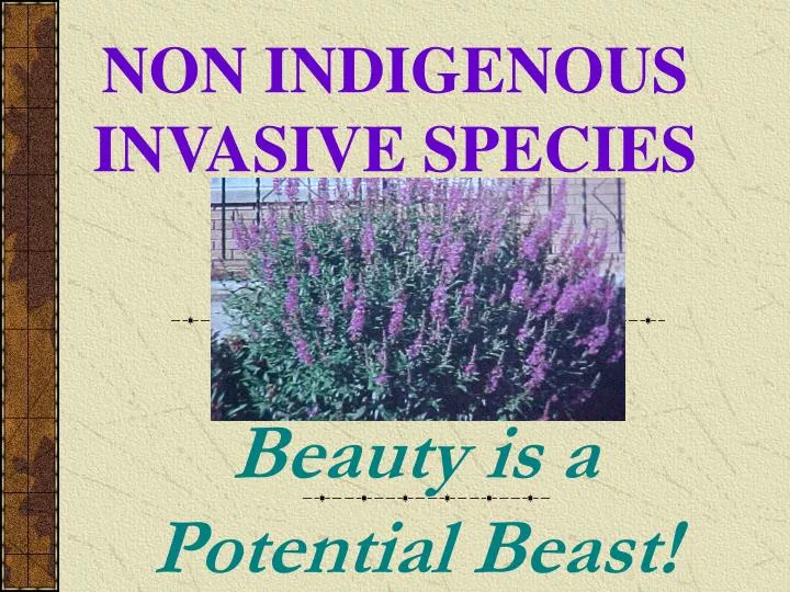 non indigenous invasive species