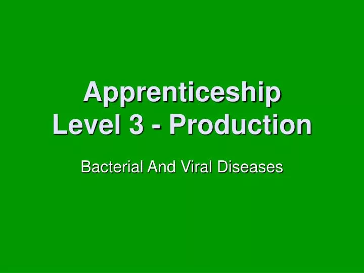 apprenticeship level 3 production