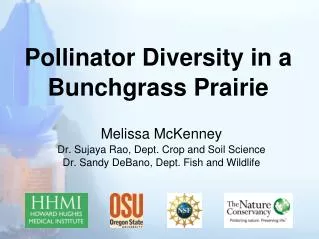 Pollinator Diversity in a Bunchgrass Prairie