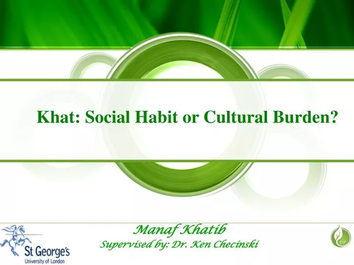 khat social habit or cultural burden