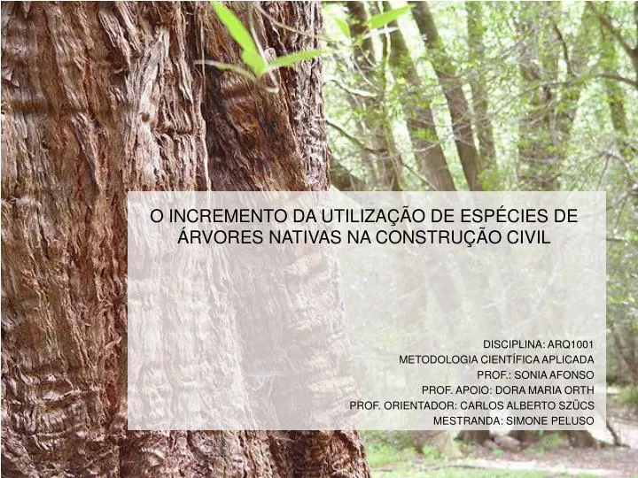 o incremento da utiliza o de esp cies de rvores nativas na constru o civil