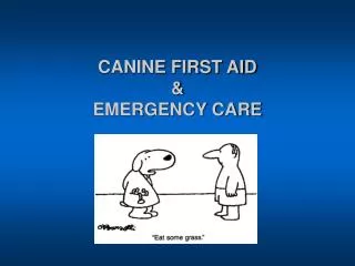 CANINE FIRST AID &amp; EMERGENCY CARE