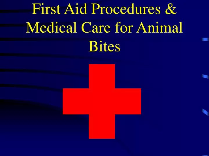 first aid procedures medical care for animal bites