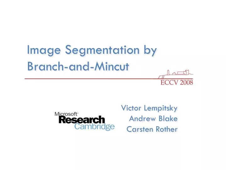 image segmentation by branch and mincut