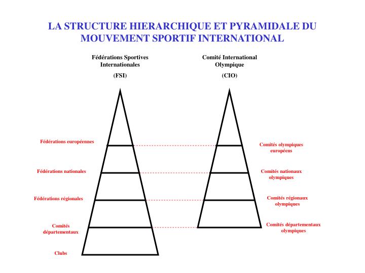 la structure hierarchique et pyramidale du mouvement sportif international