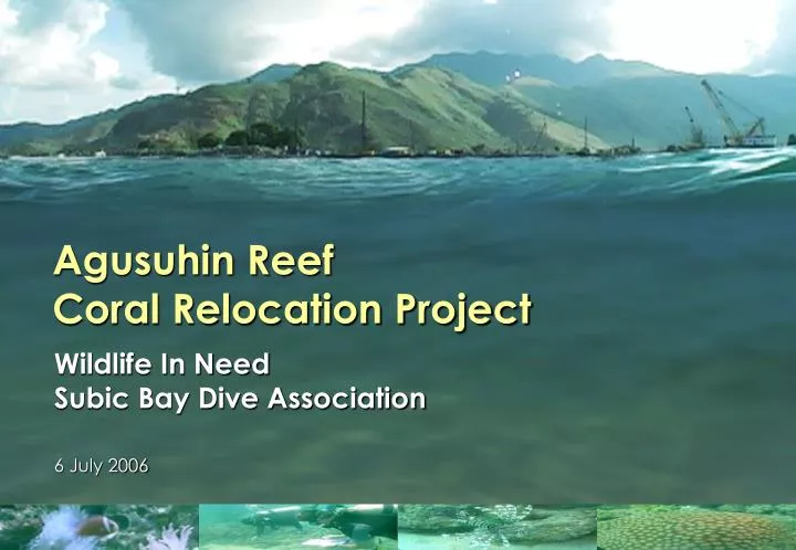 agusuhin reef coral relocation project