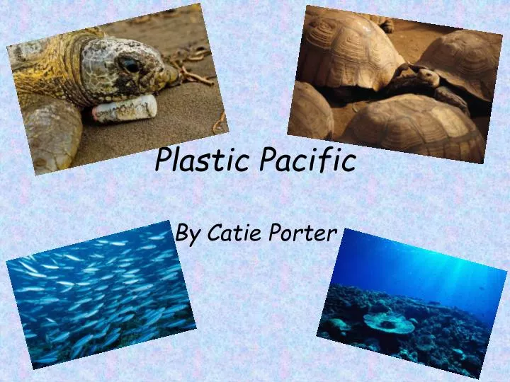 plastic pacific