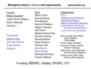 Biological clocks in theory and experiments amillar