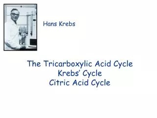 The Tricarboxylic Acid Cycle Krebs’ Cycle Citric Acid Cycle