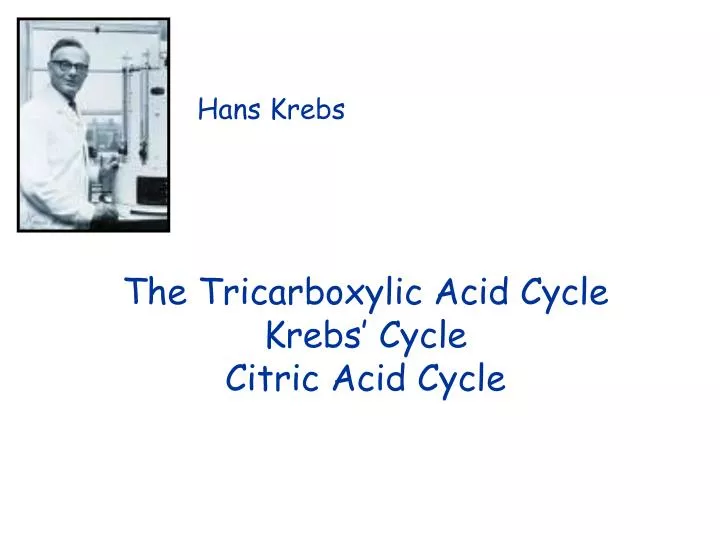 the tricarboxylic acid cycle krebs cycle citric acid cycle