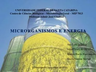 UNIVERSIDADE FEDERAL DE SANTA CATARINA Centro de Ciências Biológicas - Microbiologia Geral – MIP 7013 Professor Admir Jo