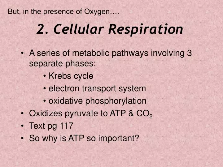 2 cellular respiration