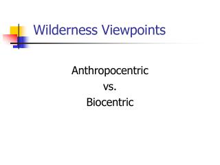 Wilderness Viewpoints