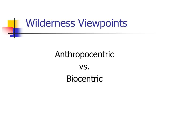 wilderness viewpoints