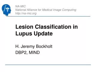 Lesion Classification in Lupus Update