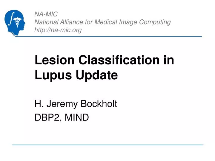 lesion classification in lupus update