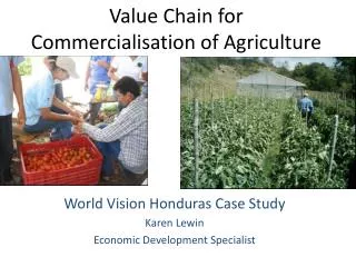 Value Chain for Commercialisation of Agriculture