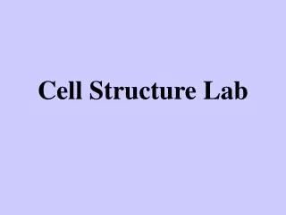 Cell Structure Lab