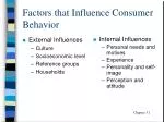 Factors that Influence Consumer Behavior - slide 1