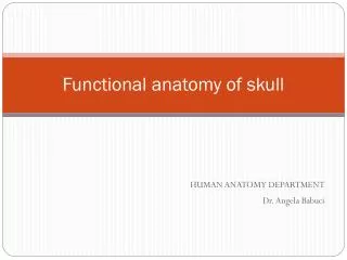 Functional anatomy of skull
