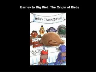 Barney to Big Bird: The Origin of Birds