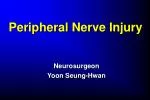 Peripheral Nerve Injury - slide 1