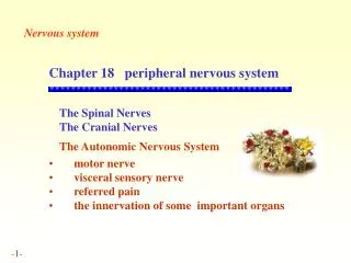 Chapter 18 peripheral nervous system