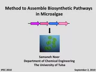Samaneh Noor Department of Chemical Engineering The University of Tulsa