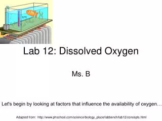 Lab 12: Dissolved Oxygen