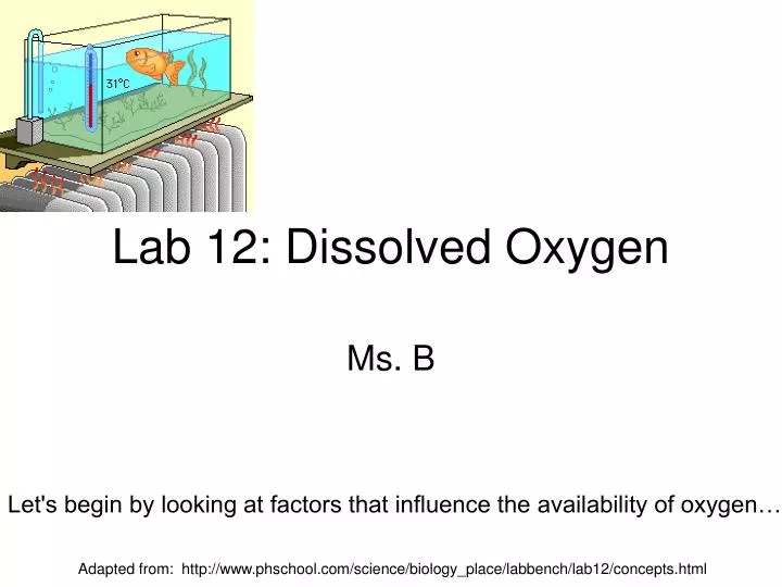 lab 12 dissolved oxygen