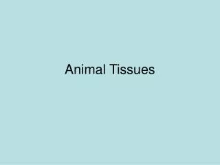 Animal Tissues