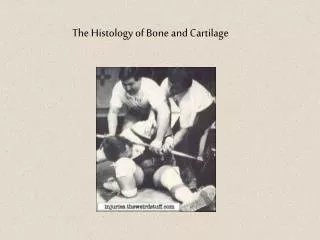 The Histology of Bone and Cartilage