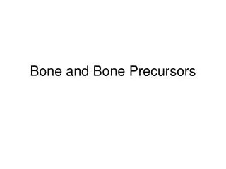 Bone and Bone Precursors