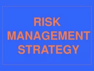 RISK MANAGEMENT STRATEGY
